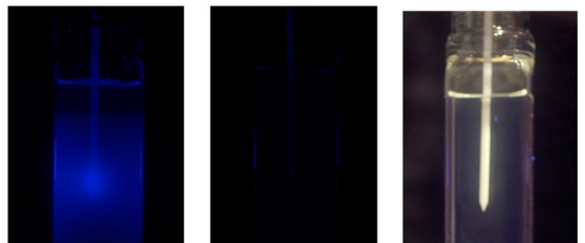 Types of Dosimeters Which is the Most Common and Why?